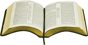 Open Bible