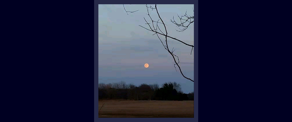 FULL MOON OVER A COUNTRY FIELD IN AMERICA, THE STATE OF INDIANA photo