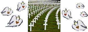 Rows upon rows of crosses in Henri-Chapelle Cemetery, France, photo