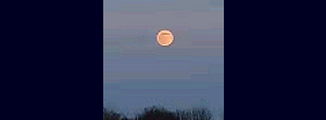 RISING FULL MOON OVER AN AMERICAN FIELD PHOTO